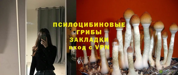 прущие грибы Алзамай