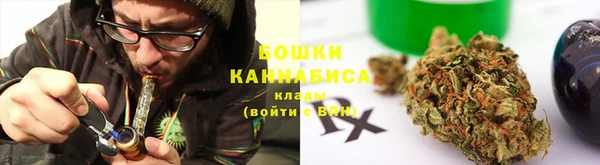 прущие грибы Алзамай